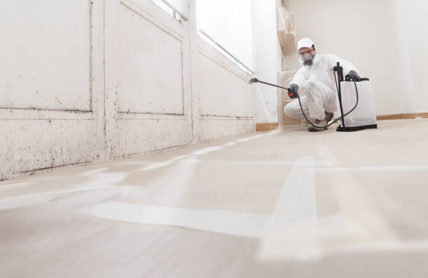 24/7 Emergency Mold Remediation experts in Warren, PA
